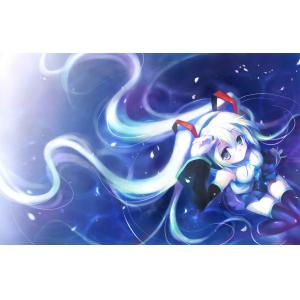 初音未来 J (54)
