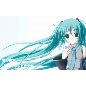 初音未来 J (51)