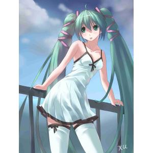 初音未来 I (56)