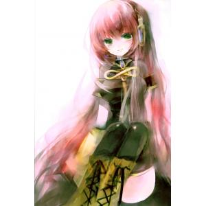 初音未来 I (28)