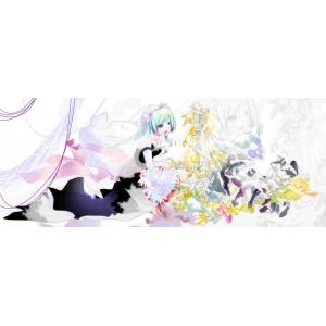 初音未来 H (5)