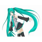 初音未来 O (47)