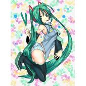 初音未来 L (45)
