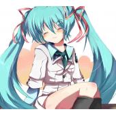 初音未来 L (47)