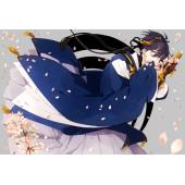 刀剑乱舞：花丸 B (3)