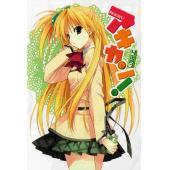 电击美少女海报 F (12)