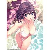 电击美少女海报 B (66)