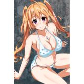 High School D×D BorN (小图) (2)
