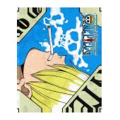 海贼王 B (41)