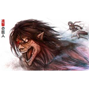 进击的巨人（新） (13)(1)
