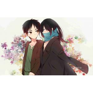 进击的巨人（新） (1)