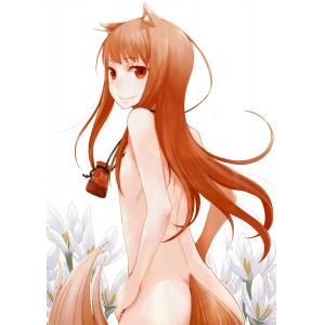 狼与香辛料 A (35)