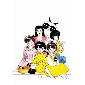 乱马 A (42)