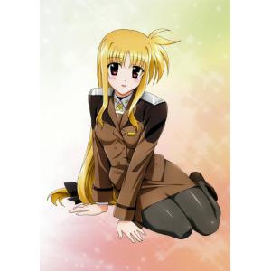 魔法少女奈叶 D (78)