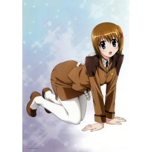 魔法少女奈叶 D (84)