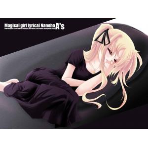 魔法少女奈叶 D (36)