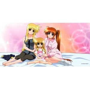 魔法少女奈叶 D (26)
