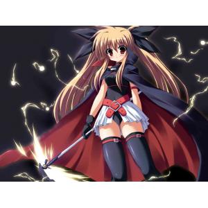 魔法少女奈叶 D (19)