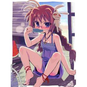 魔法少女奈叶 D (16)