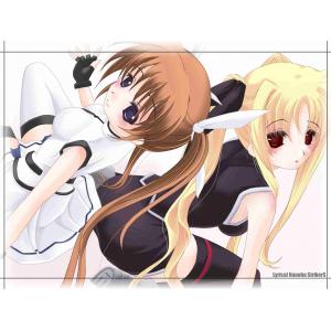 魔法少女奈叶 D (23)