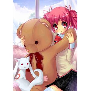 魔法少女小圆 A (33)