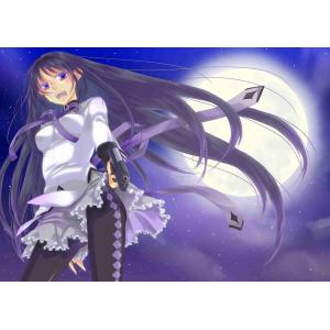 魔法少女小圆 A (17)