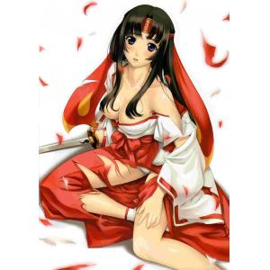 女王之剑 D (14)