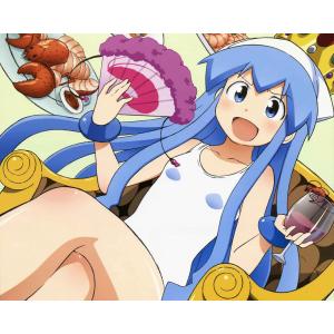 侵略！乌贼娘 A (15)