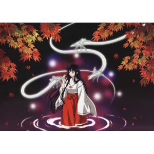 犬夜叉 A (7)
