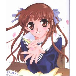 水果蓝子 A (20)