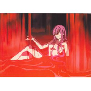 TYPE MOON B (27)