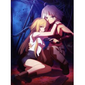 TYPE MOON B (15)