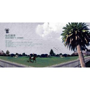 -中国风+DVD15- (50)
