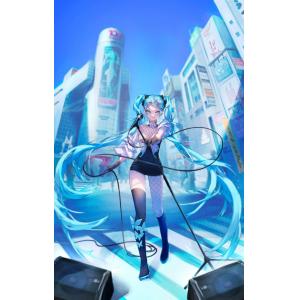 miku (9)