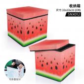 SNX012-西瓜 水果收纳箱