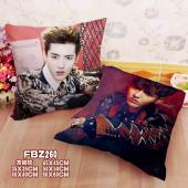 FBZ260-吴倩明星方抱枕