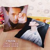 FBZ256-罗云熙明星方抱枕